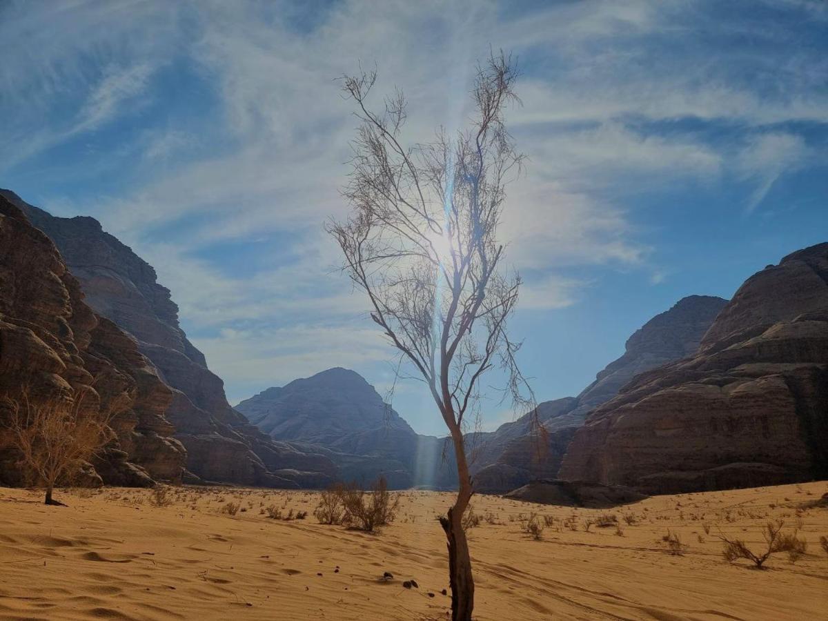 Wadi Rum Oscar Camp Екстериор снимка