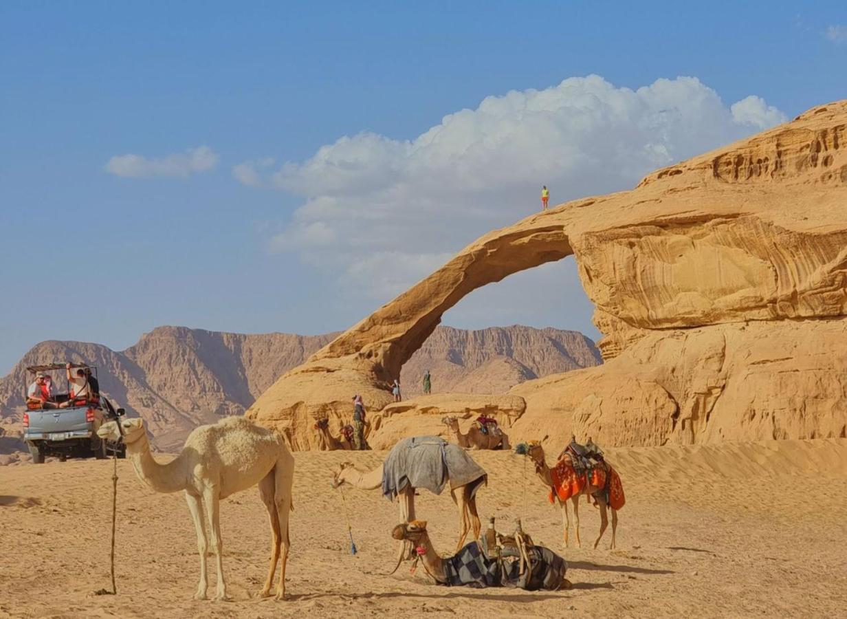 Wadi Rum Oscar Camp Екстериор снимка
