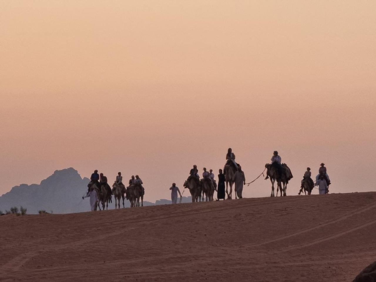 Wadi Rum Oscar Camp Екстериор снимка