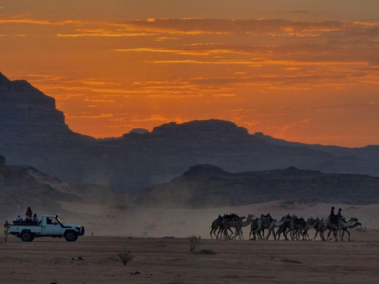 Wadi Rum Oscar Camp Екстериор снимка